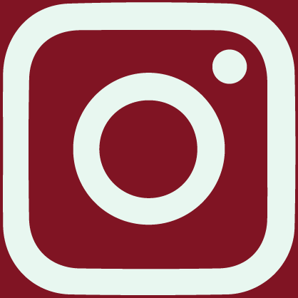 Instagram Icon